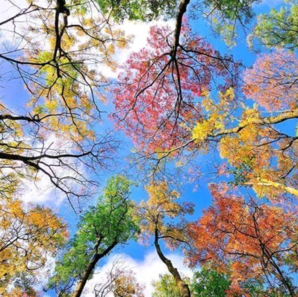 Meet your Posher, Angie - Picture 1 of 1